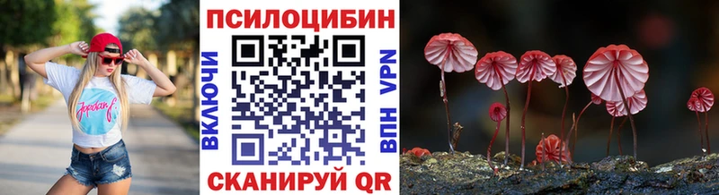 даркнет сайт  Давлеканово  мориарти официальный сайт  Галлюциногенные грибы Psilocybe 