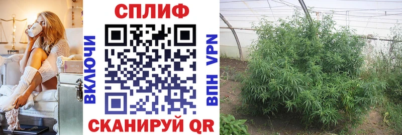 продажа наркотиков  Давлеканово  Бошки Шишки THC 21% 